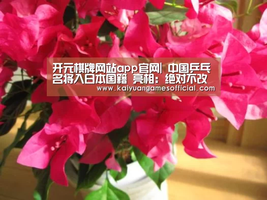 开元棋牌网站app官网|
中国乒乓名将入日本国籍 亮相:绝对不改中国名 娶中国女孩!(图2) 开元棋牌网站app官网