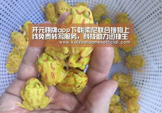 开元棋牌app下载|索尼联合搜狗上线免费转写服务,科技助力迅捷生活(图2) 开元棋牌app下载