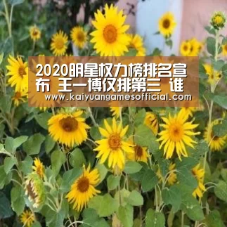 2020明星权力榜排名宣布 王一博仅排第三 谁是顶流一目了然|开元棋牌网站app(图2) 开元棋牌app下载