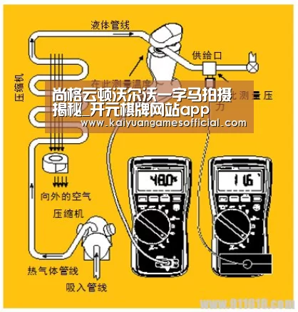 尚格云顿沃尔沃一字马拍摄揭秘_开元棋牌网站app(图2) 开元棋牌网站appapp